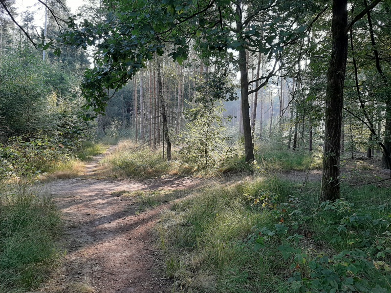 Perfect moeten zijn